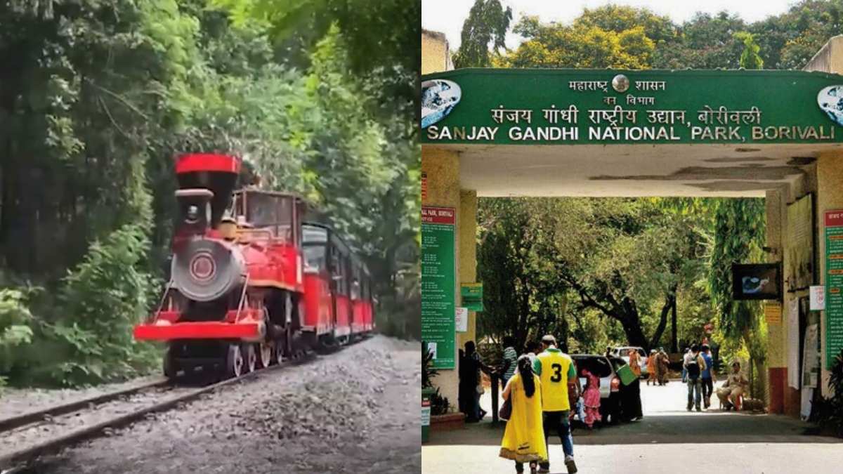 After 4 Years, Van Rani Makes A Comeback To Sanjay Gandhi National Park & Here’s All About It