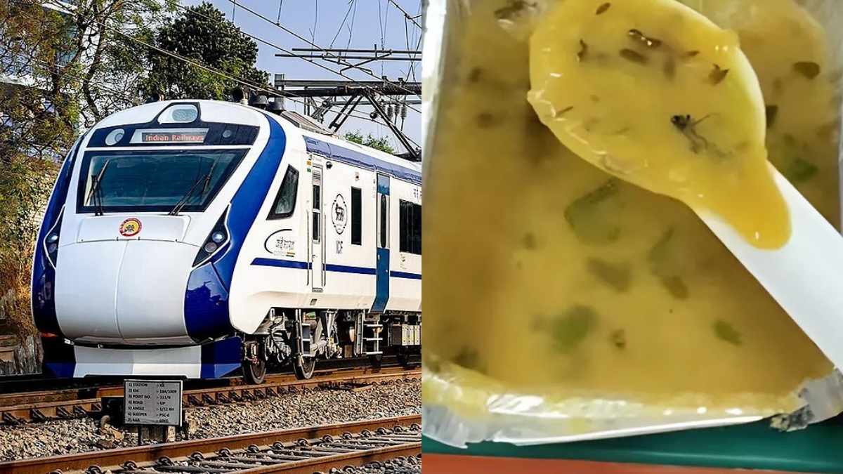 Insect Found In Meal On Vande Bharat Express, Passenger’s Post Sparks Public Outrage