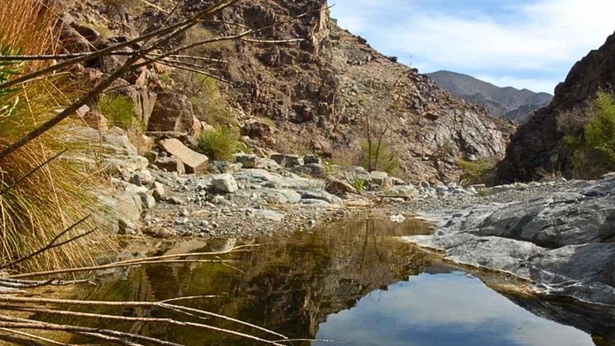 After Al Faya’s UNESCO Status, Wadi Al Helo Eyes A Spot On Sharjah’s Heritage Map