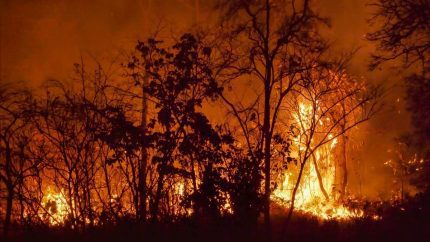 Turkey: 50,000+ Evacuated As Wildfires Ravage Izmir Province; 1000+ Firefighters Battle The Blaze