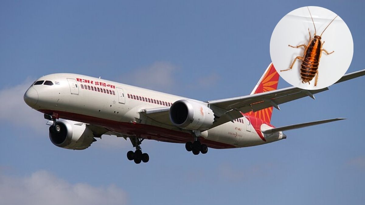Cockroaches Found On Air India San Francisco-Mumbai Flight; Passengers Relocated, Airline Responded