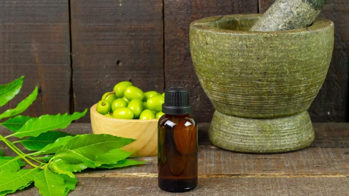 FSSAI And Ministry Of Ayush Set New Standards With Release Of Ayurveda Aahara Catalogue