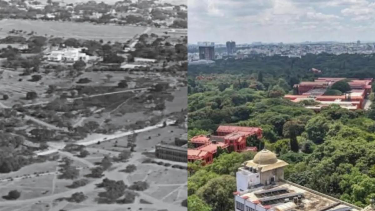 Then Vs Now: Rare 1948 Photo Of Bengaluru’s Cubbon Park Sparks Debate On City’s Green Cover