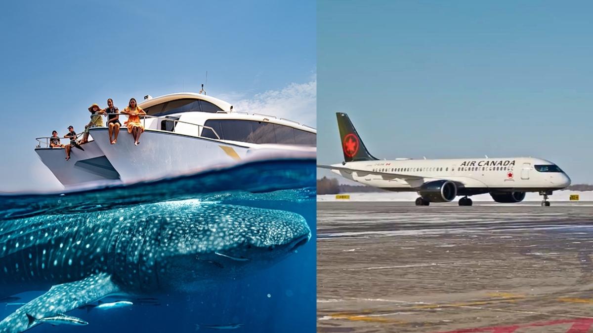 From Qatar’s Whale Shark Tours To Air Canada Strike, 5 GCC Updates For You