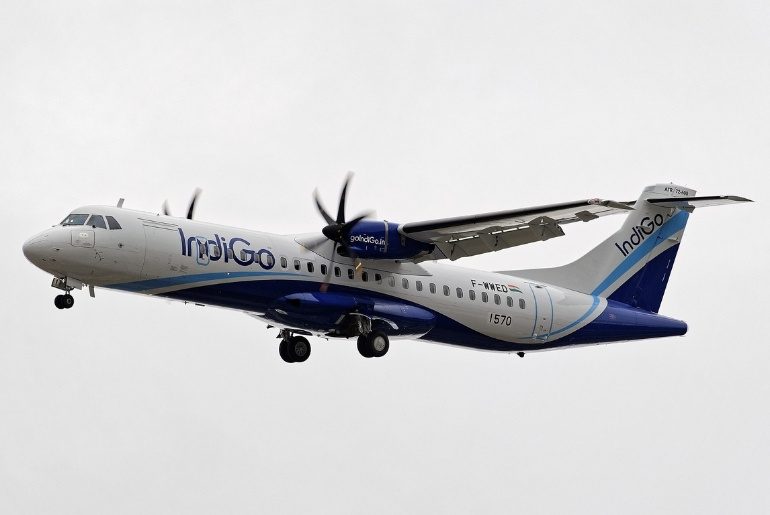 Indigo Anniversary Sale