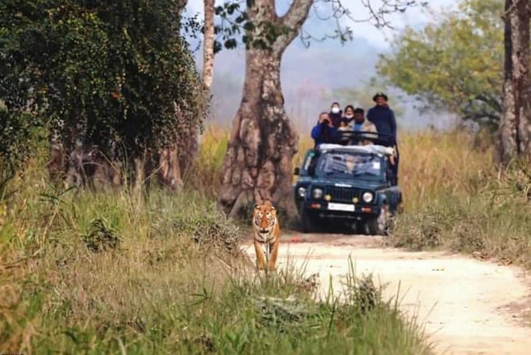 Kaziranga National Park 