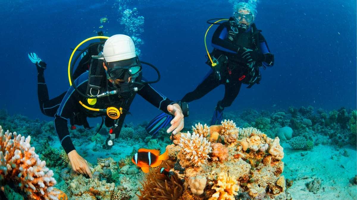 Oman’s Musandam Festival Launches First-Ever International Diving Festival With 4-Day Line-Up