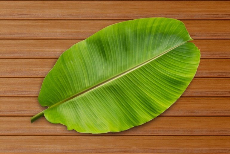 Banana Leaf