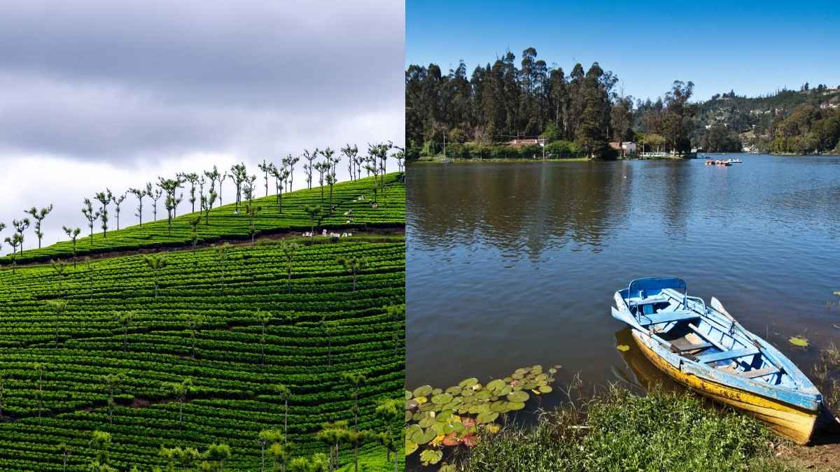Ooty Vs Kodaikanal: Which Hill Station Wins On Food, Budget, And Beauty?