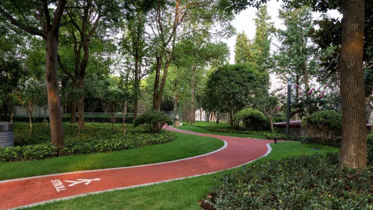 Delhi’s Sanjay Park To Get ₹1.6 Crore Rubberised Jogging Track; Spike Shoes May Be Barred