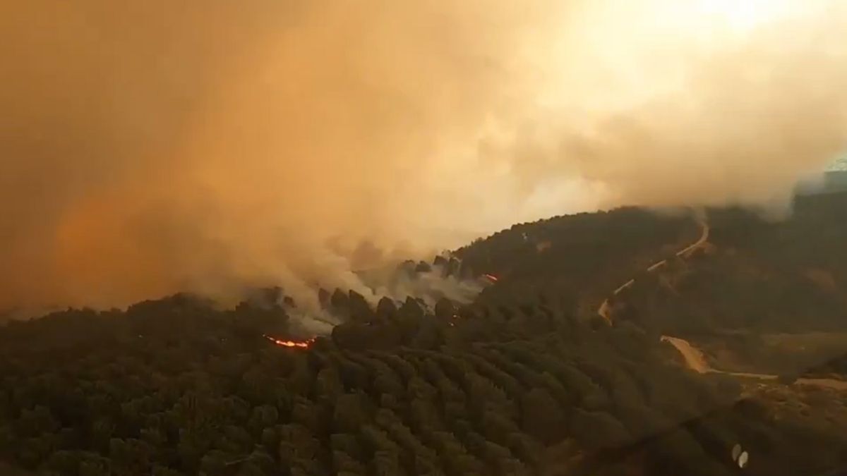Spain Battles Worst Wildfires In Years; 1,900 Troops And Aircraft Deployed To Combat 20 Wildfires