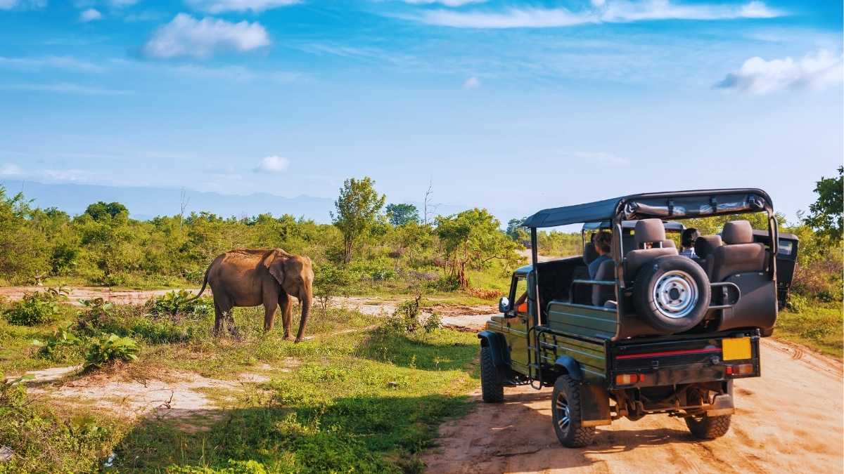Wildlife Travellers Can Now Take Help Of AI To Book Hotels & Homestays Near India’s National Parks; Here’s How