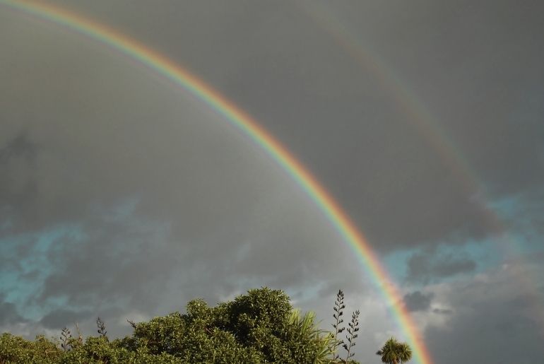 rainbow india