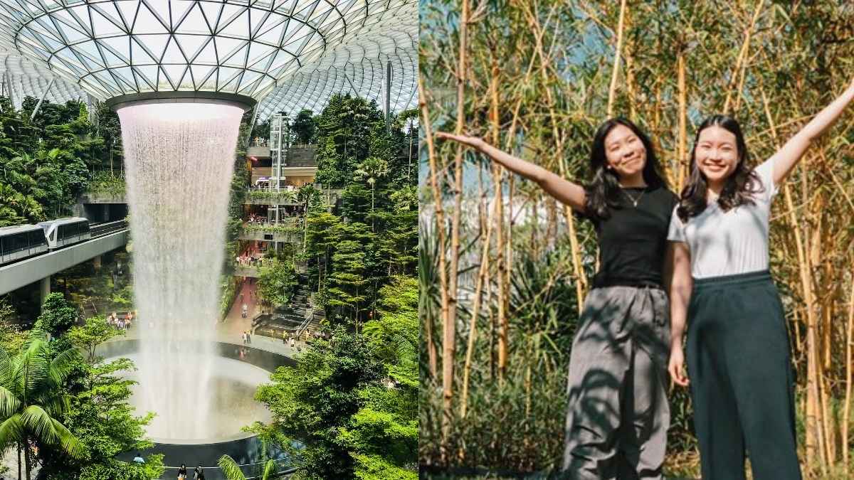 Singapore’s Changi Airport Opens World’s 1st Open-Air Bamboo Garden With Free 24-Hr Entry