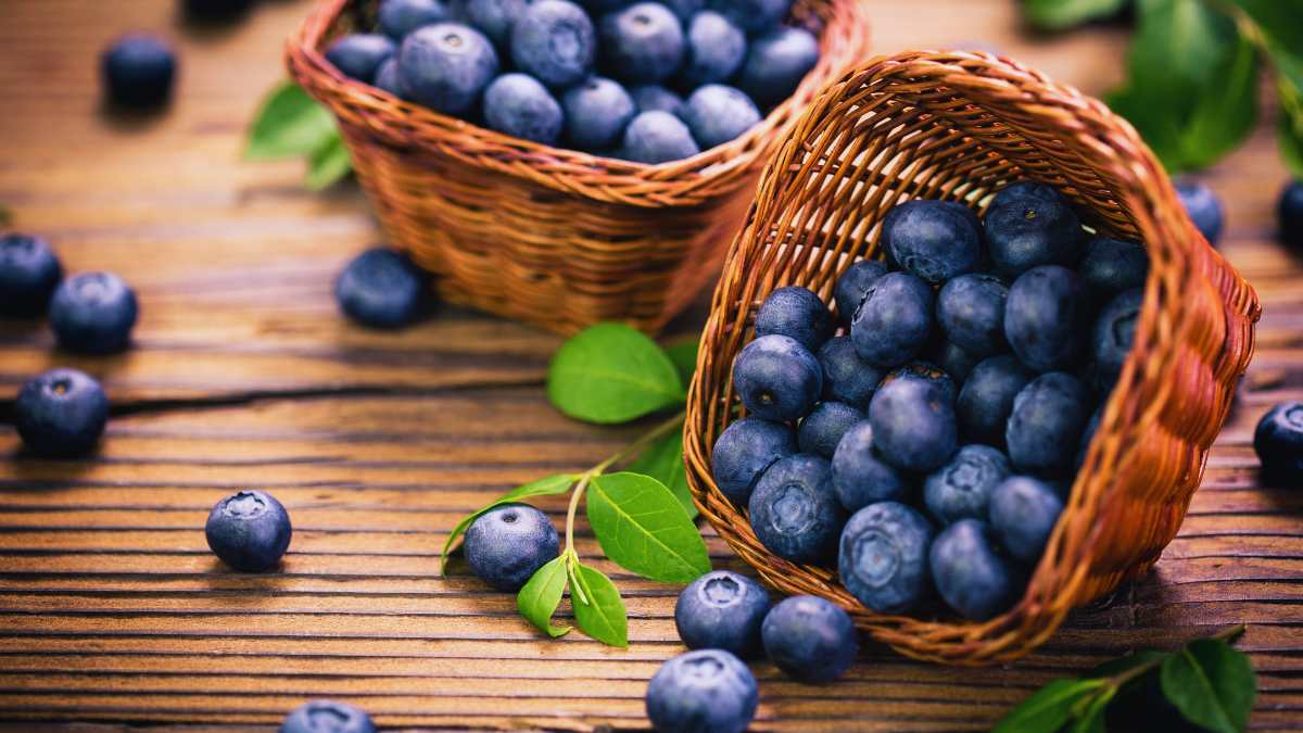 5 Ways To Add Antioxidant-Rich Blueberries To Your Diet