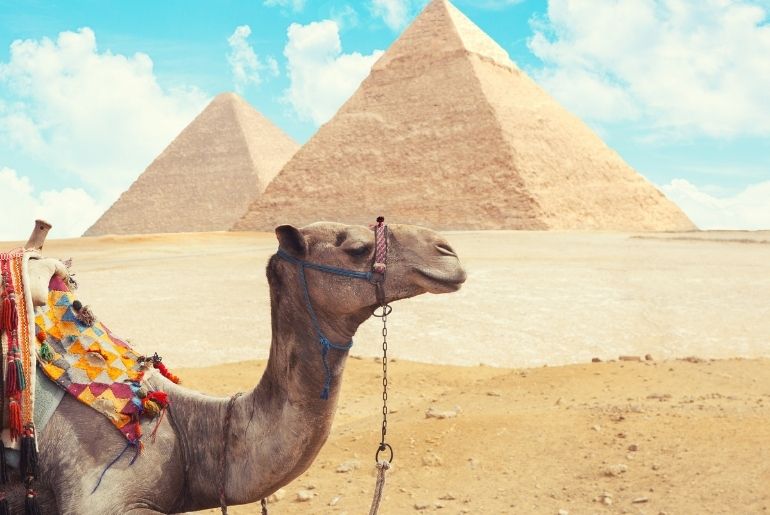 egypt tour