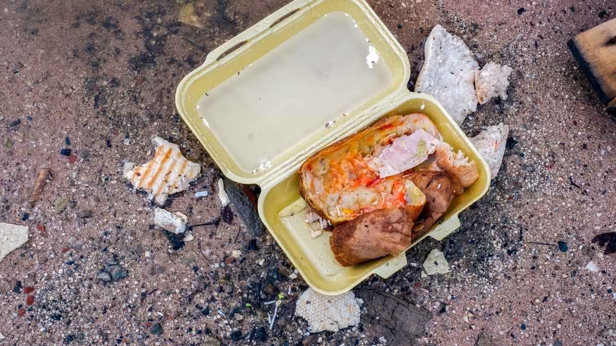 Kuwait: Now, Pay KWD500 If You Throw Leftover Food On The Streets To Feed Stray Animals