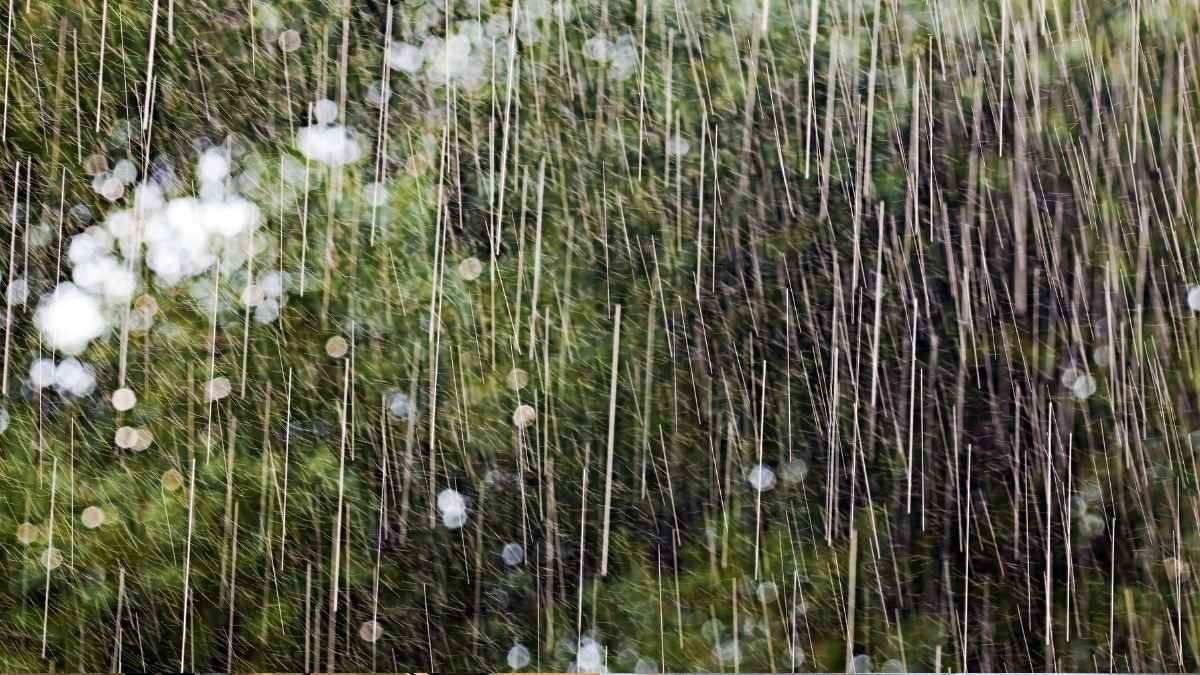 Saudi Arabia: Flash Flood Warnings Issued As The Kingdom Braces For Heavy Rain!