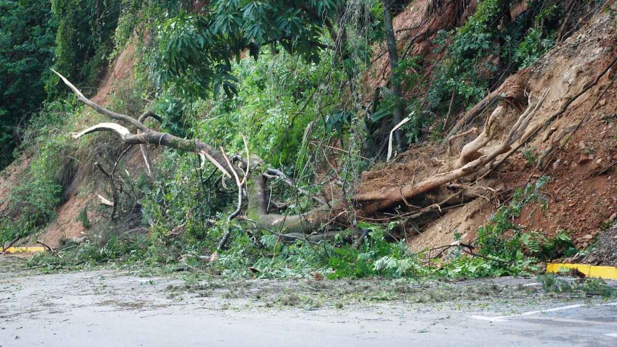 Himachal Pradesh Reels Under Monsoon Fury As 383 Roads Blocked And Several Dead