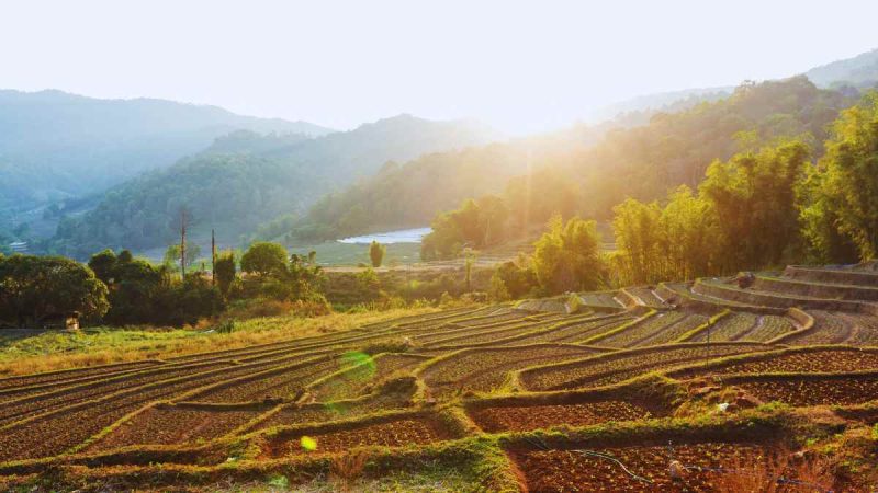 Northern Thailand