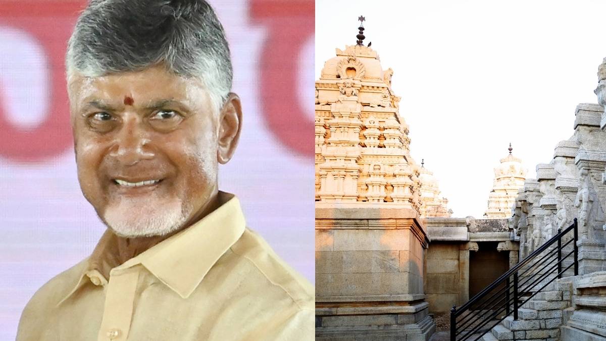 Andhra Pradesh CM Naidu Calls For Tourism Push Across 175 Constituencies, Temple Towns Get Special Focus