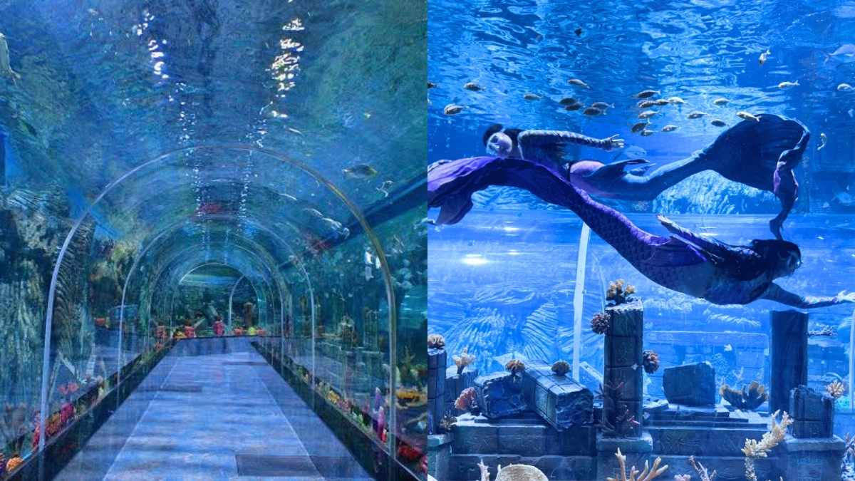 Aquarium Paradise: 6 Things You Need To Know About India’s Largest Aquarium In Bangalore