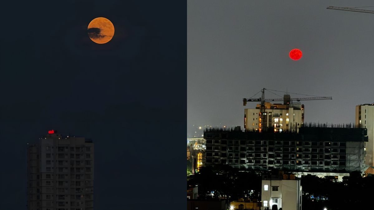 In Pics: Blood Moon In India Stuns Skywatchers In Delhi, Bengaluru, Chennai & More