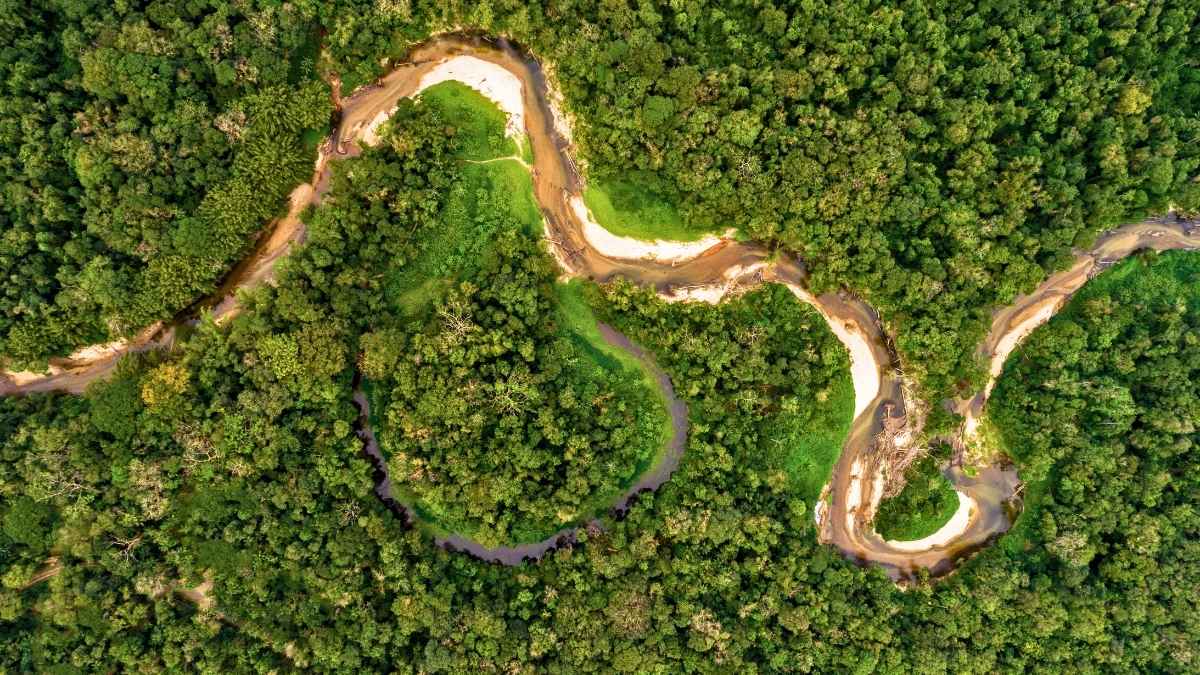 Earth’s Lungs Are Failing: Amazon Rainforest In Brazil Loses Area As Large As Spain In The Last 40 Years
