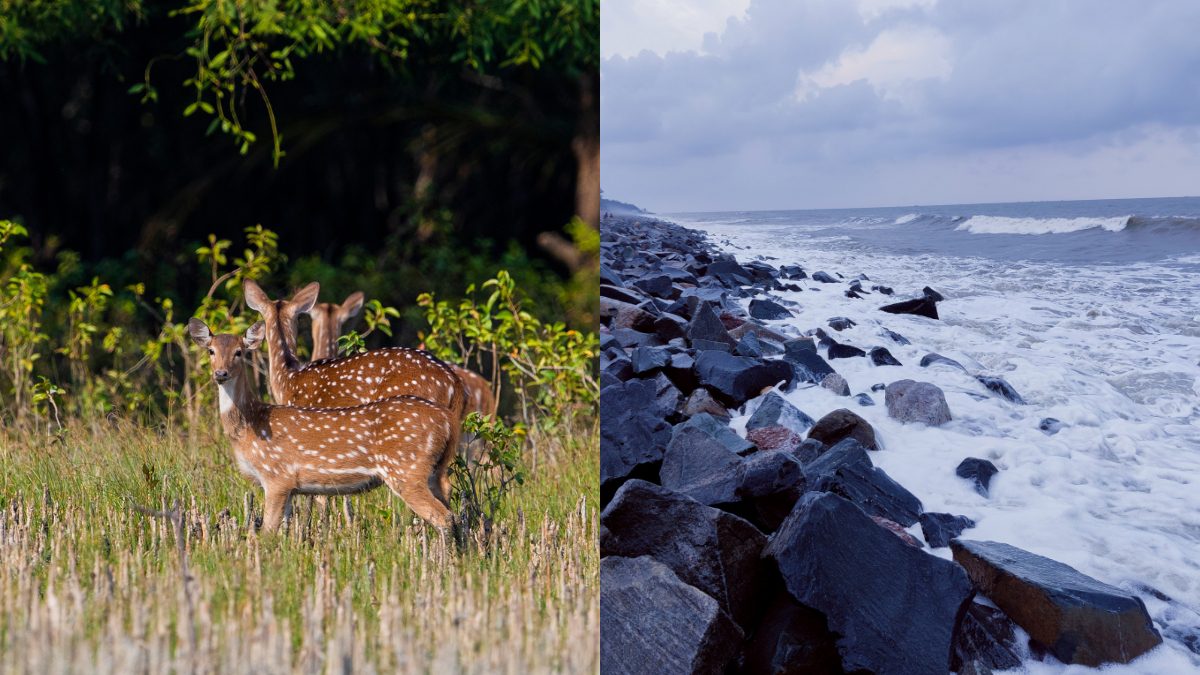 8 Destinations Near Kolkata For A Quick Festive Escape This Durga Puja