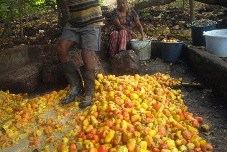 Feni Bengaluru 