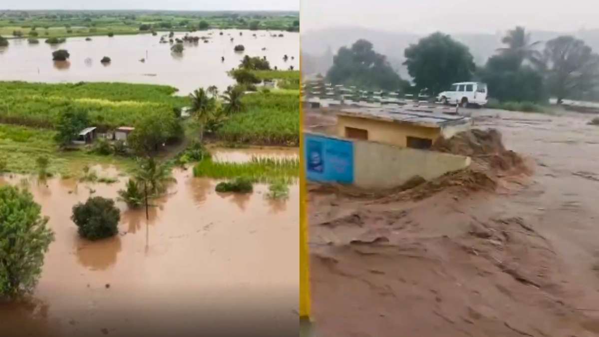 Maharashtra Floods: 8 Dead, Farmlands, Cattle Affected In Marathwada; Rescue Work Underway