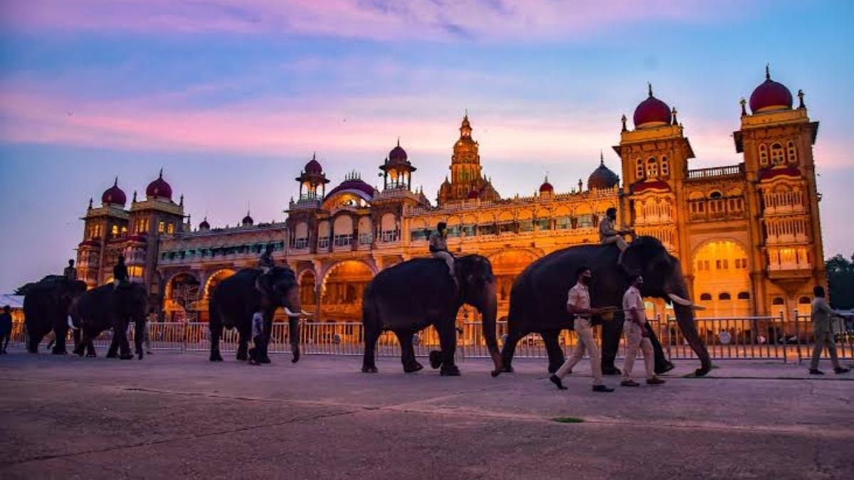 Why Do Elephants Remain The Focus Of Mysuru Dasara, Bridging 400 Years Of Ritual, Celebration, And Cultural Heritage?