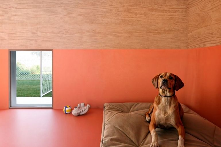 dog hotel rome