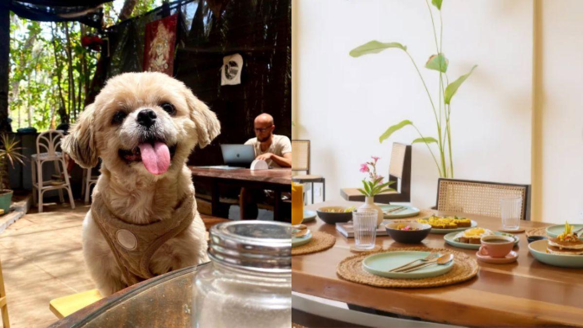 10 Best Pet-Friendly Cafes In Goa Perfect For Hoomans And Their Fur-Babies; Pawsitive Vibes Only!