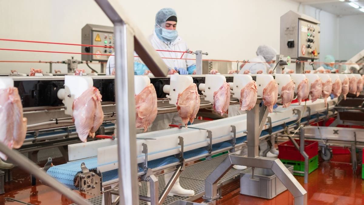 Saudi Arabia: Production Line Of 5 Factories Shut After E.Coli And Salmonella Contamination
