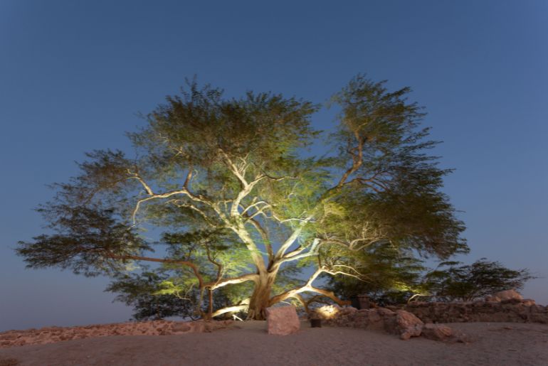 Tree Of Life Bahrain