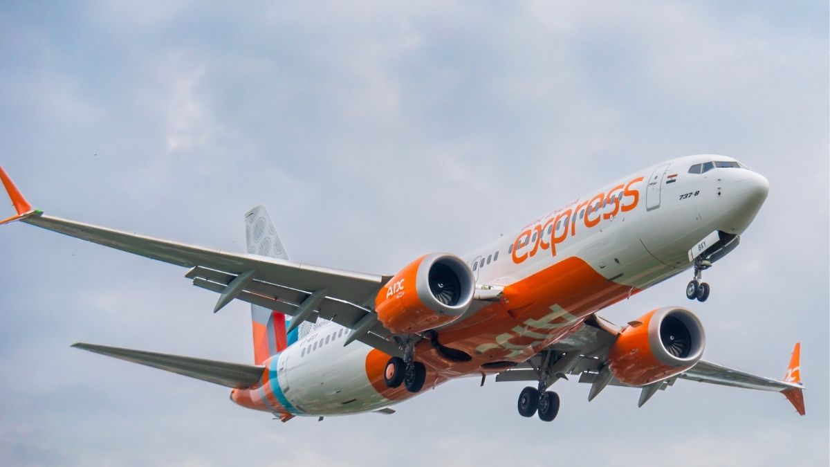 Bird Hit Forces Cancellation Of Air India Express Flight From Vijayawada To Bengaluru