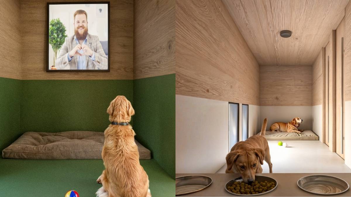 Pawesome News! Rome Airport Opens Luxury Dog Hotel With Aromatherapy, Grooming For Furry Travellers