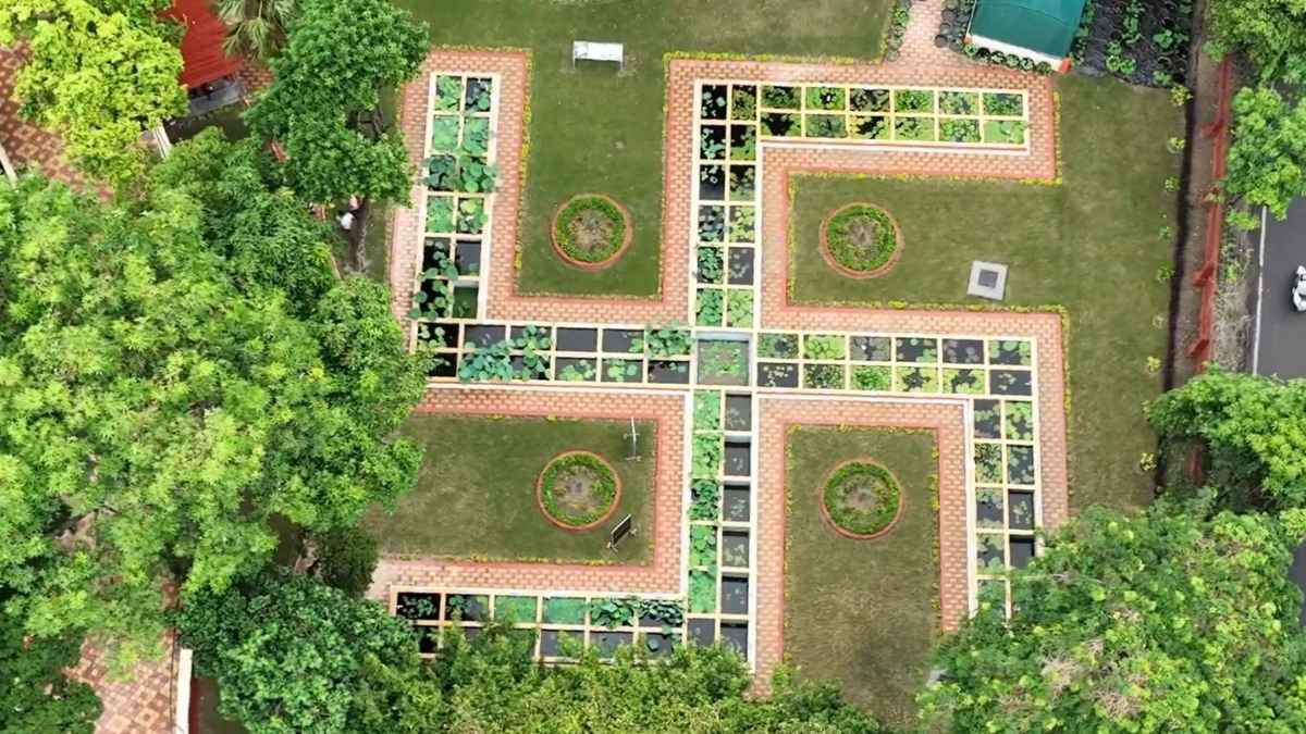 Lucknow Has A Swastika-Shaped Lotus Garden With Over 60 Types Of Lotus Blooming All Year Round