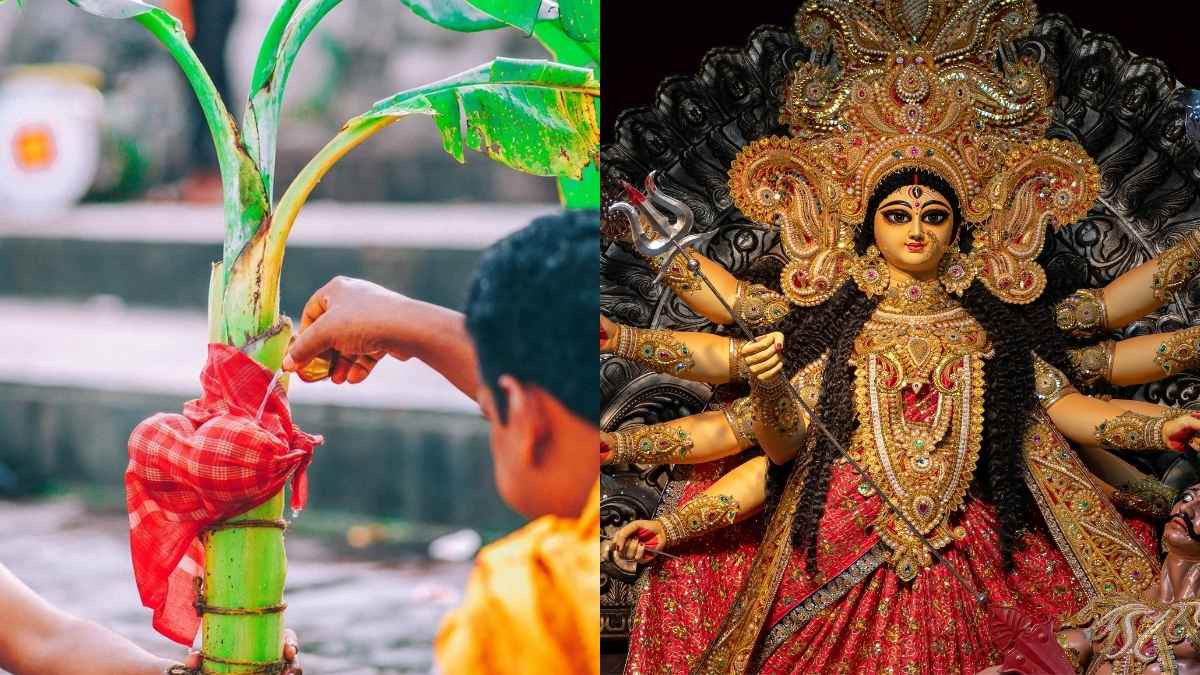 Durga Puja 2025: What Is Kola Bou, And Why Are Banana Trees Dressed As Indian Brides?