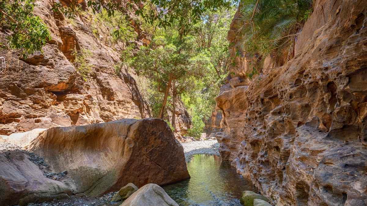 Take A Trek To Wadi Lajab, A Stunning Canyon In Saudi Arabia’s Jazan With Hanging Gardens & More