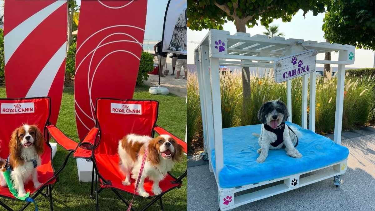 There’s A Paw-some Dog Fiesta Headed To Dubai This November With Workshops, Delish Food And More