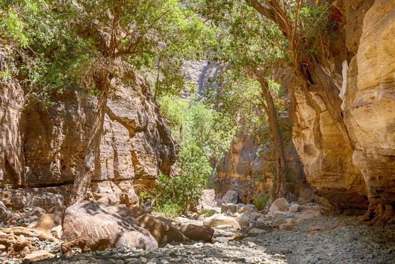 jazan wadi lajab