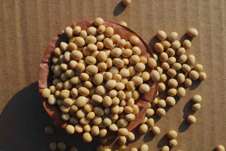 soybean health benefits