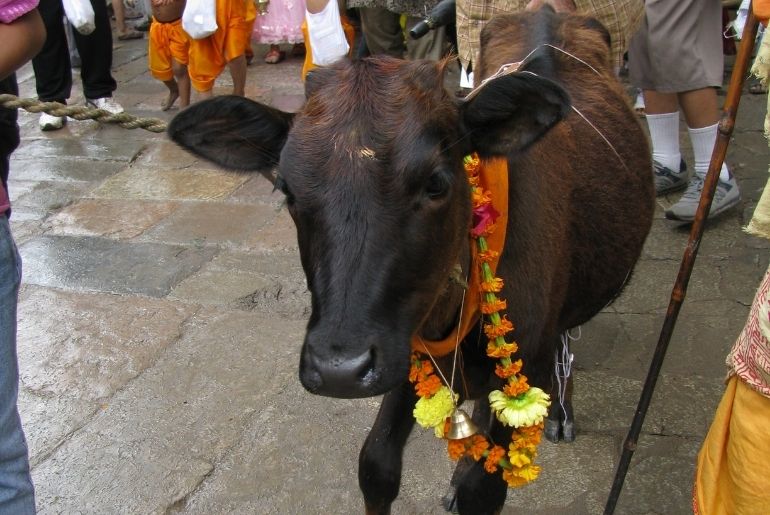 Halloween In India 