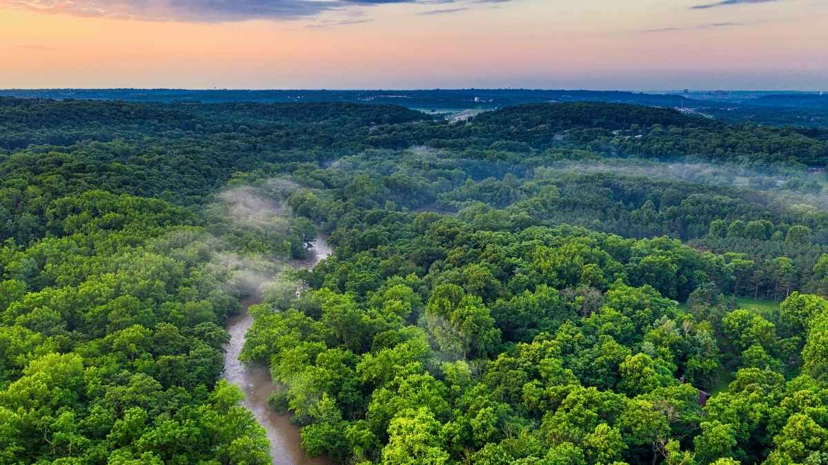 India Climbs To 9th Place On Global Forest Area Rankings, Retains 3rd Spot In Forest Gain; Here’s What It Means