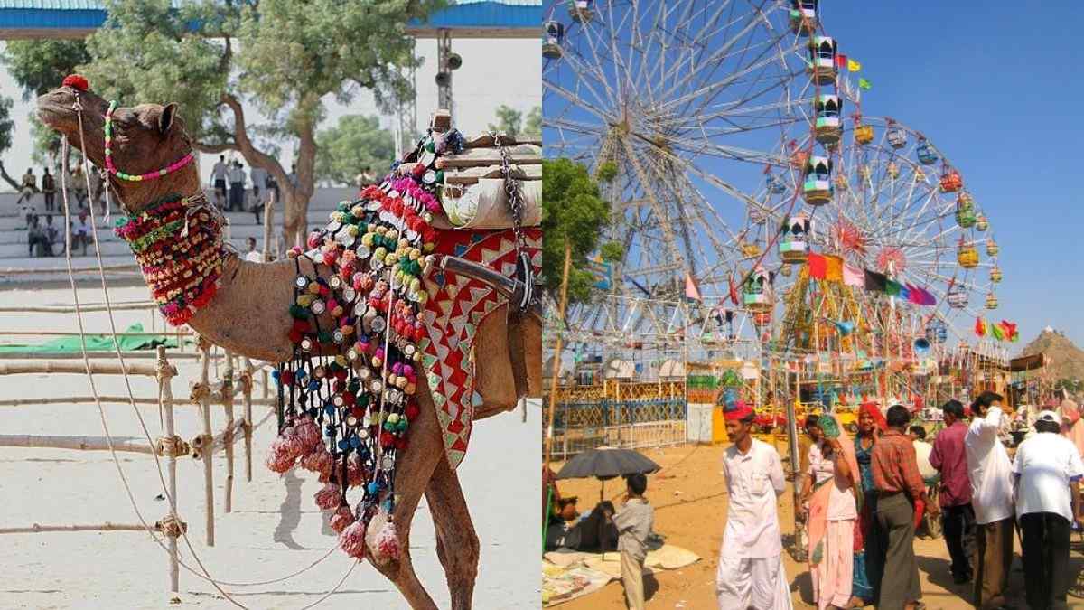 Planning To Visit Pushkar Camel Fair This Year? 5 Things You Can’t Miss At This Annual Cultural Mela
