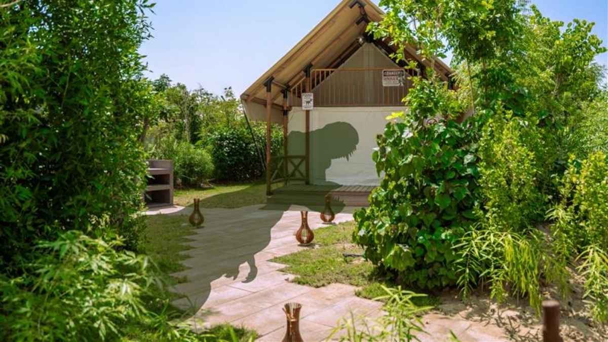 T-Rex Has Taken Over Dubai Parks & Resorts! Enjoy A Glamping Experience With Pool, BBQ & More