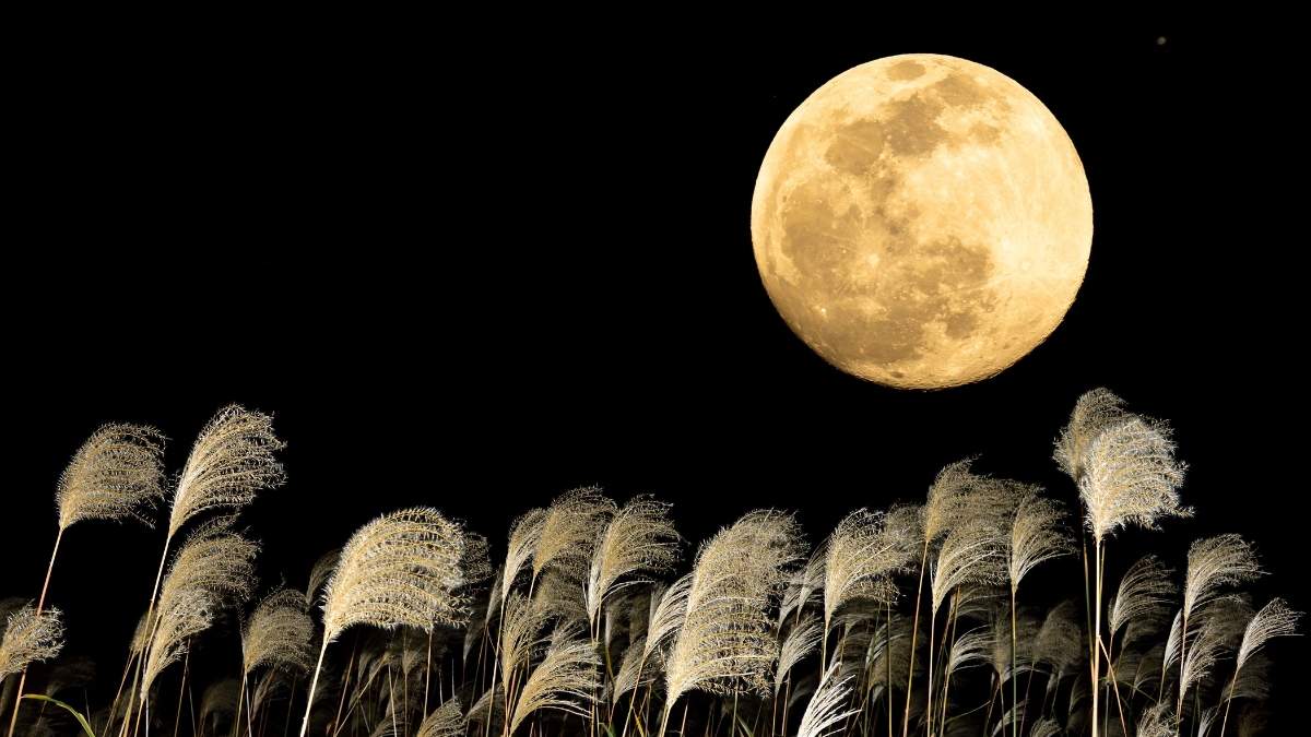 What Is Harvest Moon And Where Can You Watch This Bright Full Moon In 2025 In India?