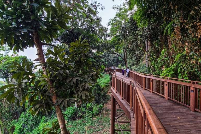 Malabar Hill Nature Trail